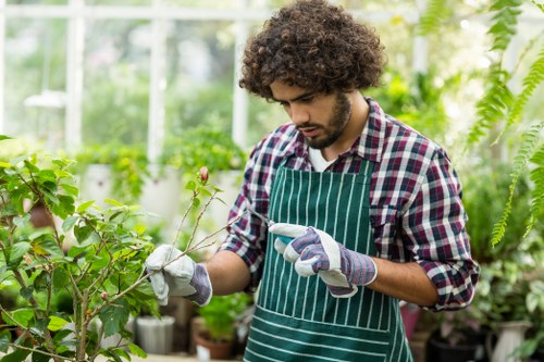 Tree surgeons working ethically under a modern slavery prevention policy