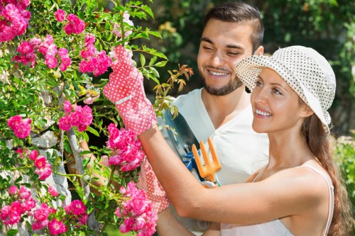Experienced tree surgeons in Euston carrying out responsible tree care and maintenance