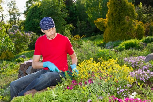 Emergency response planning for arboricultural work