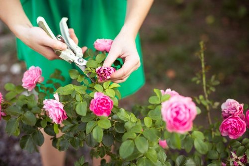 Card and online payment options for Euston tree surgeons