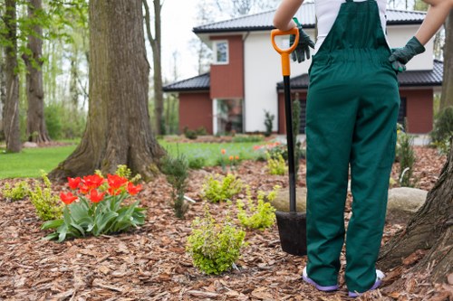 Tidy stump grinding service for residential and commercial spaces in Euston